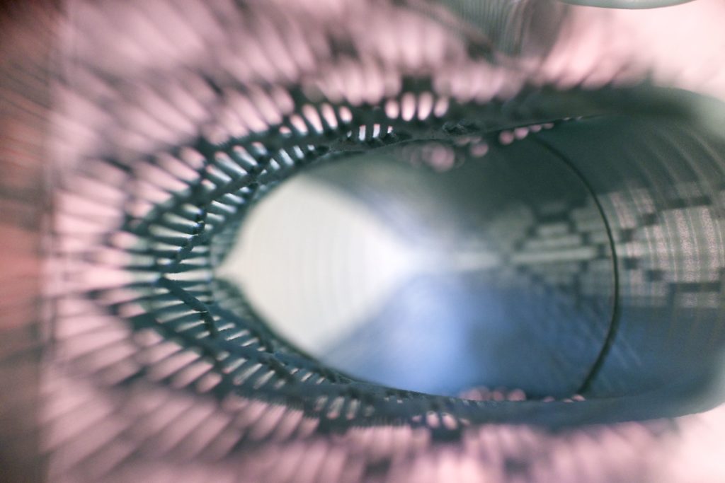 Photo by Robert Leslie